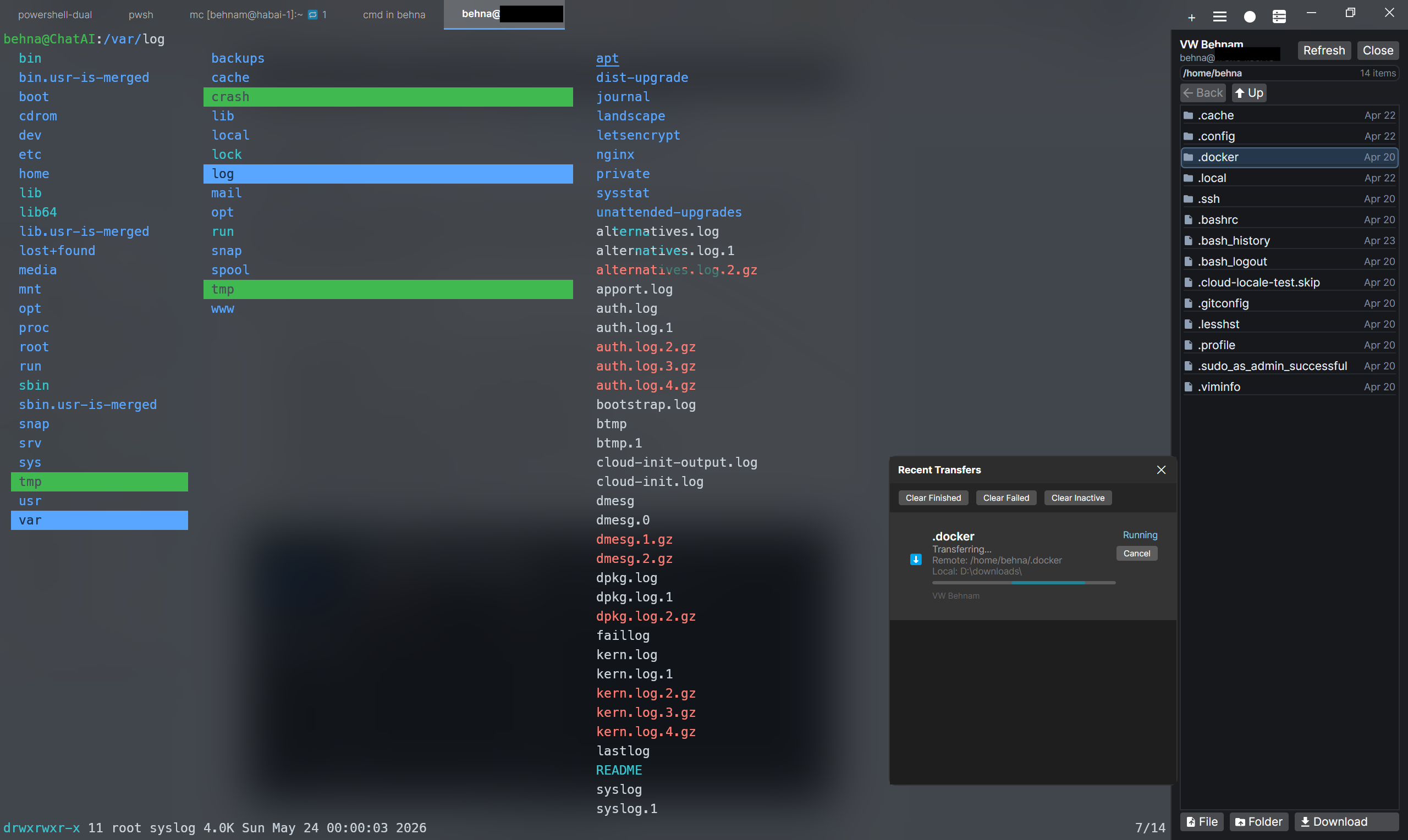 NovaTerminal showing inline graphics rendered in the terminal grid